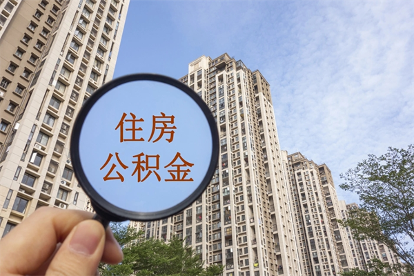 肇州帮取离职公积金（帮忙取公积金怎么收费）
